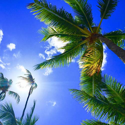 publicdomainq-0014427ugx